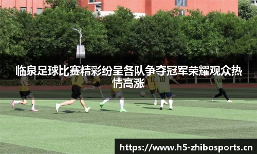 临泉足球比赛精彩纷呈各队争夺冠军荣耀观众热情高涨